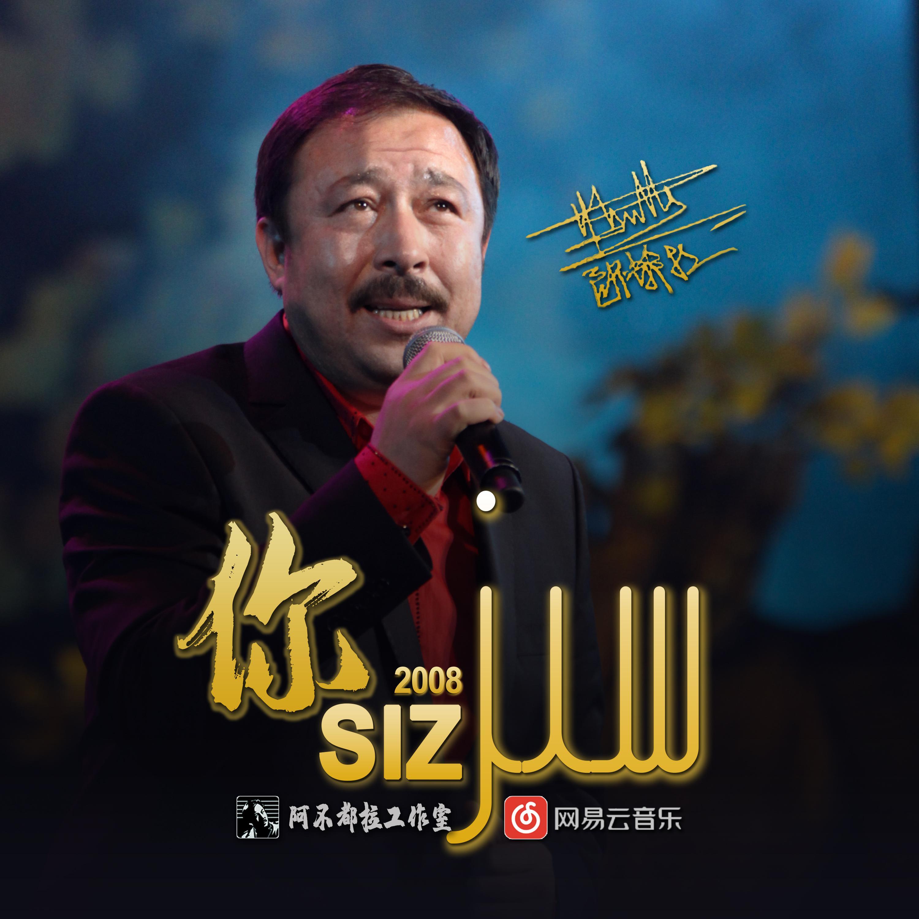 Siz (您)