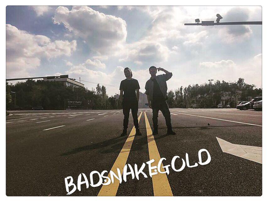 Bad.Snake.Gold专辑