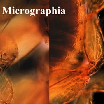 Micrographia