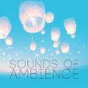 Sounds of Ambience专辑