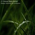 25 Natural Rain Sounds for Sleeping, Meditation, Spa & relaxation专辑