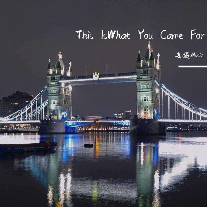 This Is What You Came For 伴奏