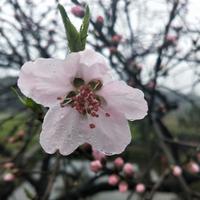 那个男人