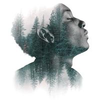 Dr. Dre, Snoop Dogg X Rihanna - The Next Episode X Bitch Better Have My Money (Willo Mashup) (Intro Dirty) V1 124