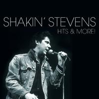 Teardrops - Shakin' Stevens (PM karaoke) 带和声伴奏