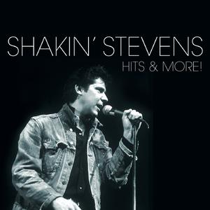 Teardrops - Shakin' Stevens (PM karaoke) 带和声伴奏 （升2半音）