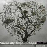 where my angel sleeps专辑