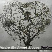 where my angel sleeps