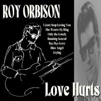 Roy Orbison - Only the Lonely (Know the Way I Feel) (VS Instrumental) 无和声伴奏
