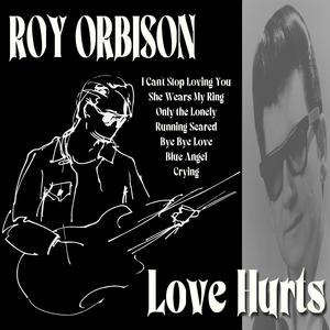 Roy Orbison - Only the Lonely (Know the Way I Feel) (VS Instrumental) 无和声伴奏 （升4半音）