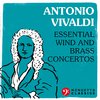 Musici di San Marco - Concerto in F Major for 2 Oboes, Bassoon, 2 Horns, Violin & Strings RV571: II. Largo