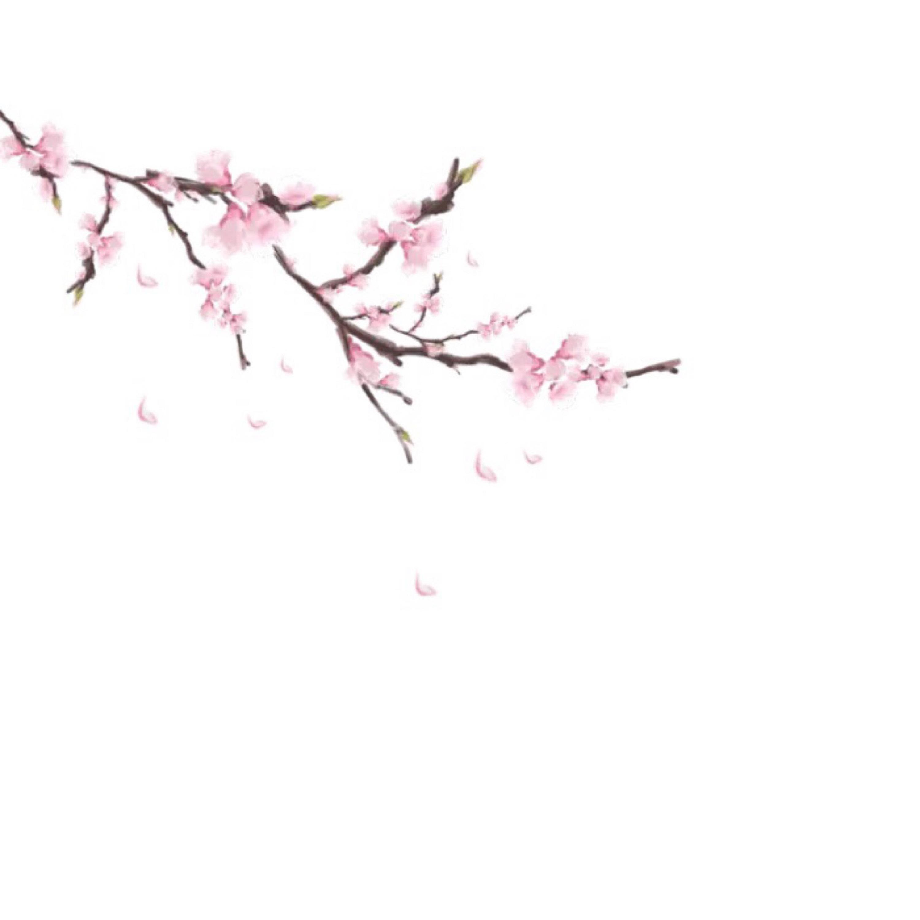 还是会寂寞（DJ版）