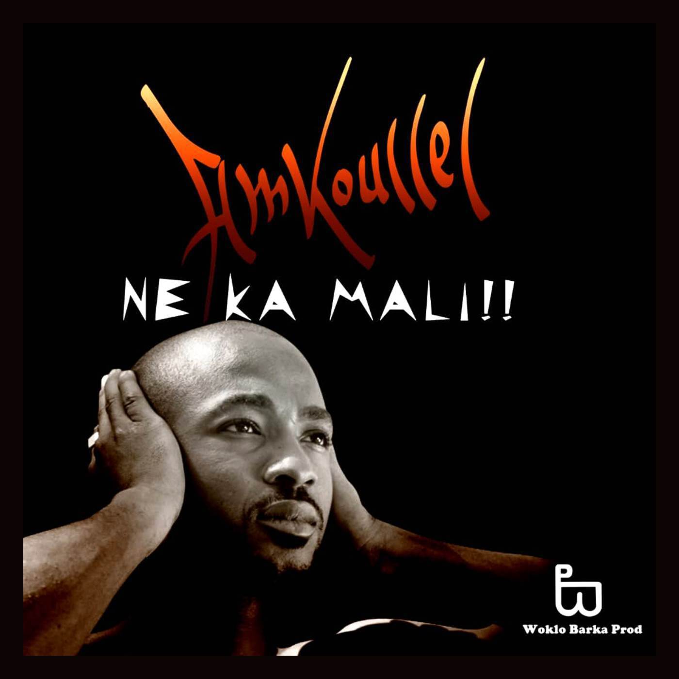 Amkoullel - Mali Sénégal