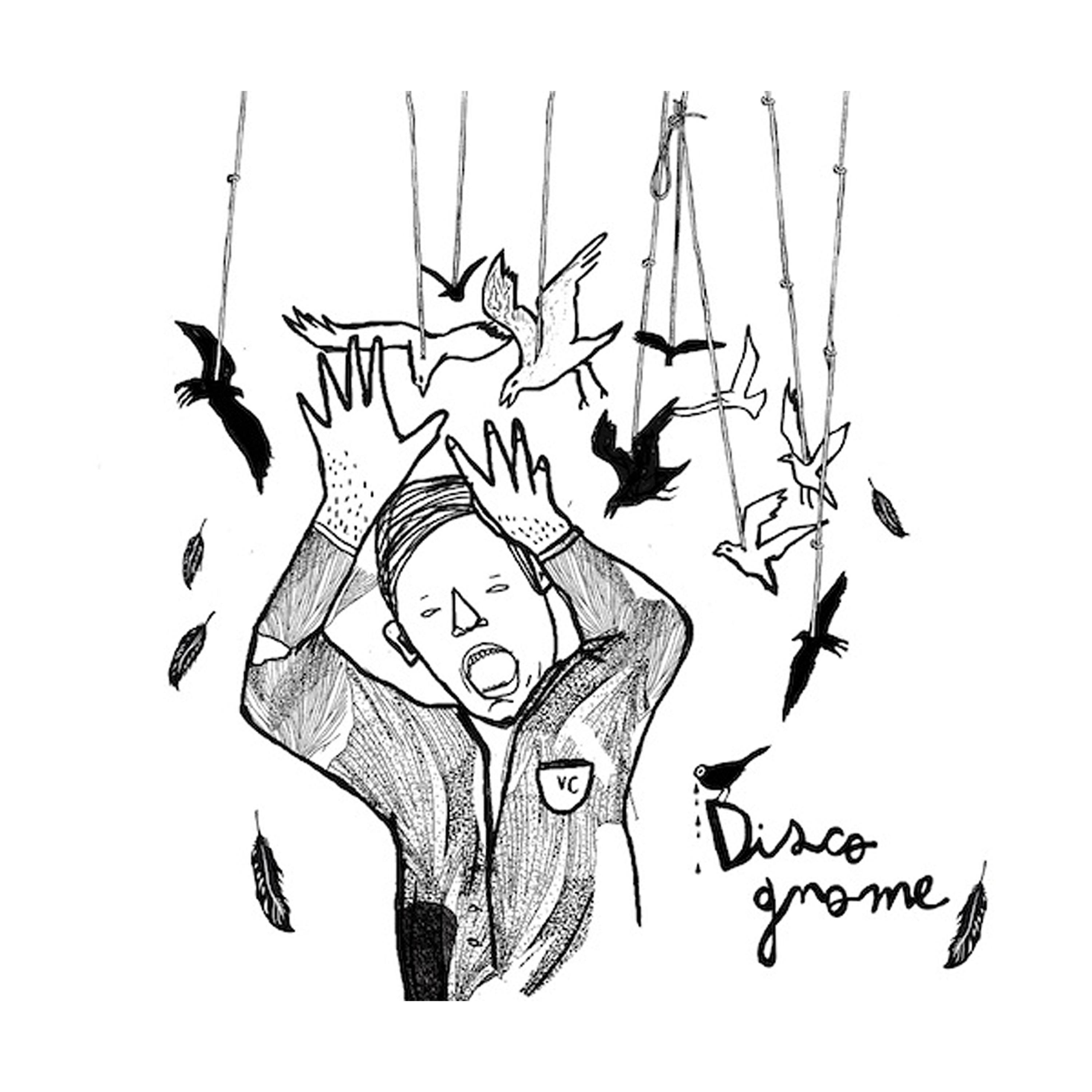 Disco Gnome