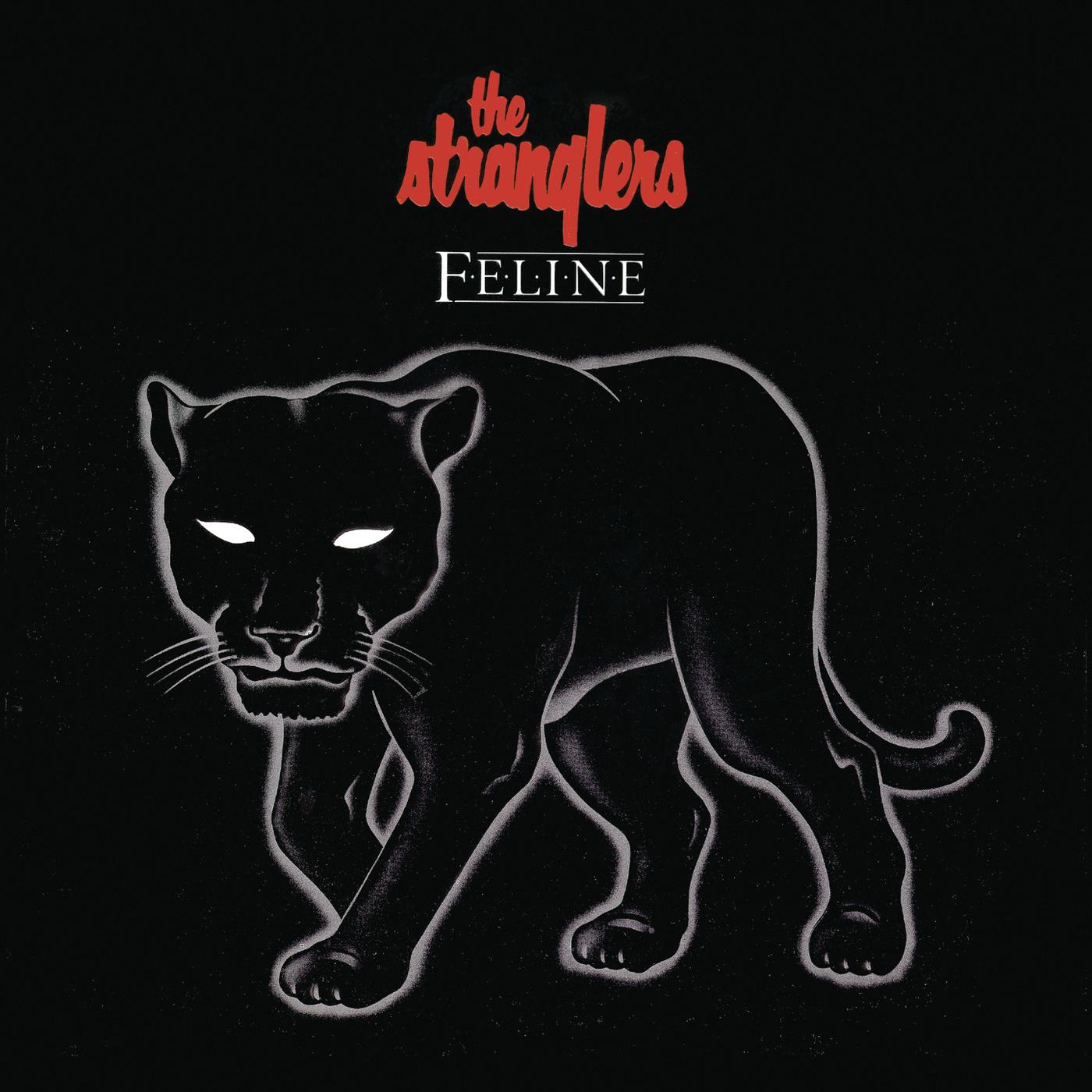 Feline