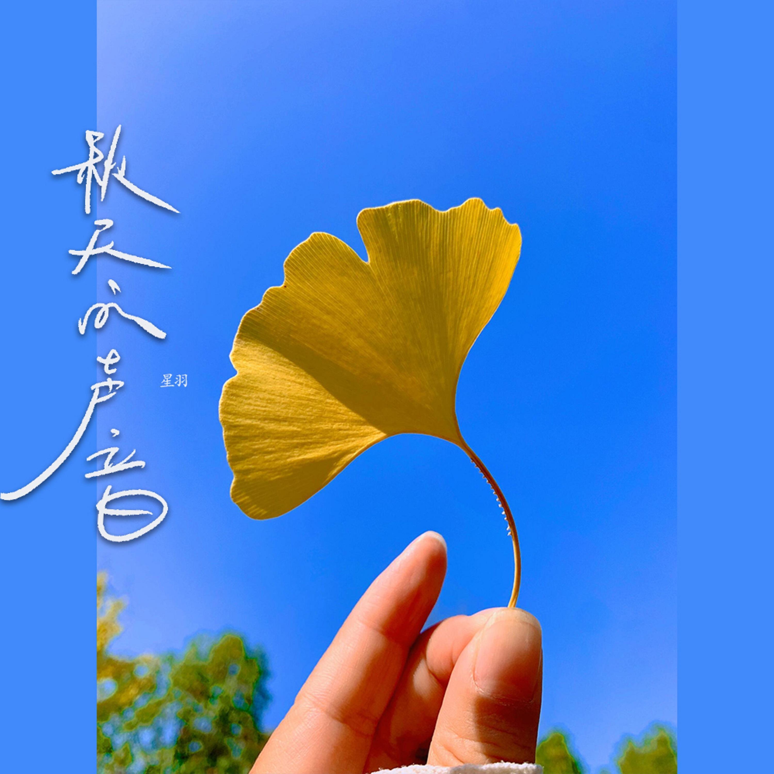 纯音乐（秋天的声音）