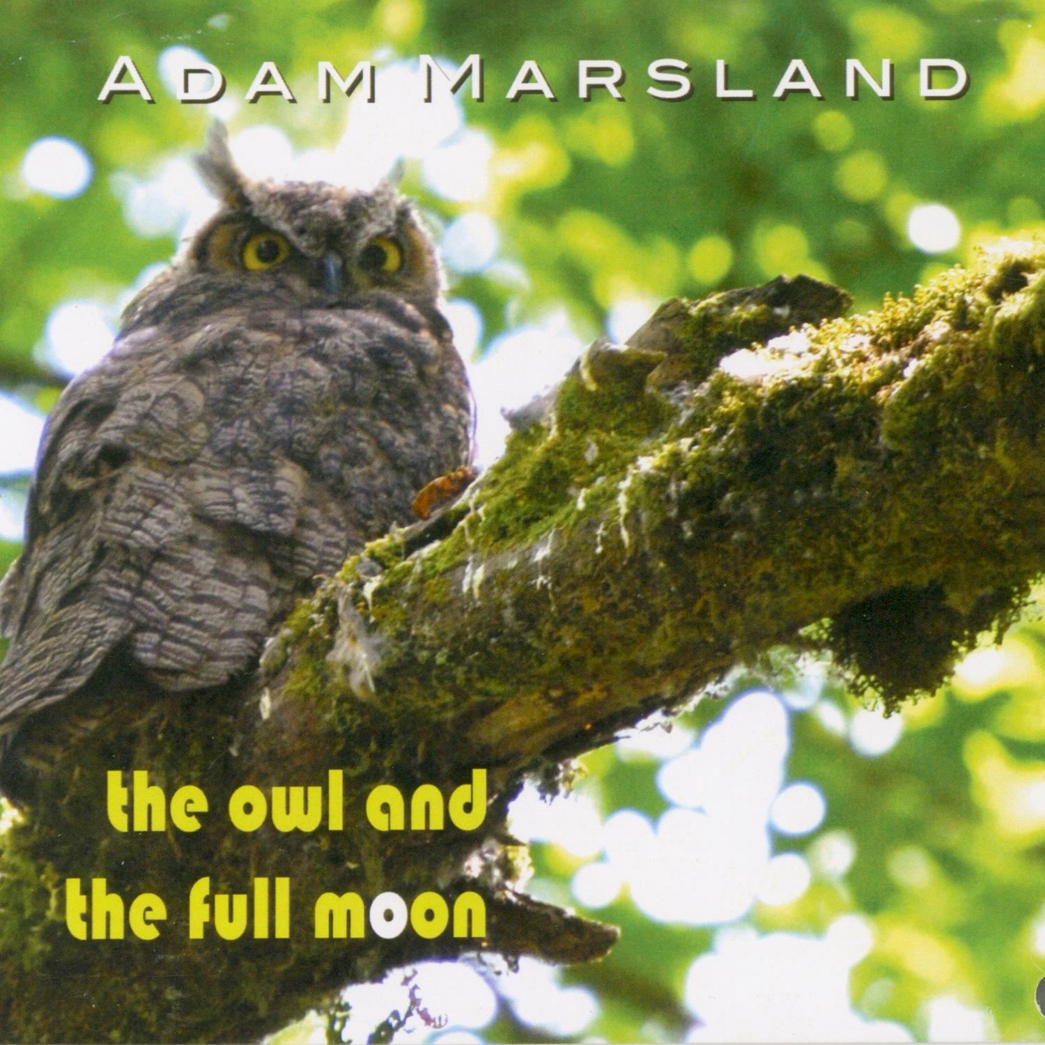 The Owl and the Full Moon