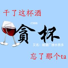 贪杯（各种酒印象曲）