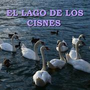 El Lago de Los Cisnes