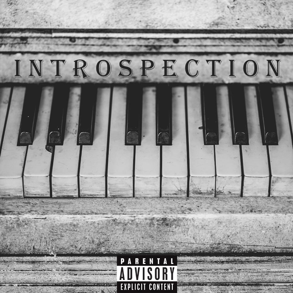 INTROSPECTION