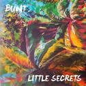 Little Secrets专辑