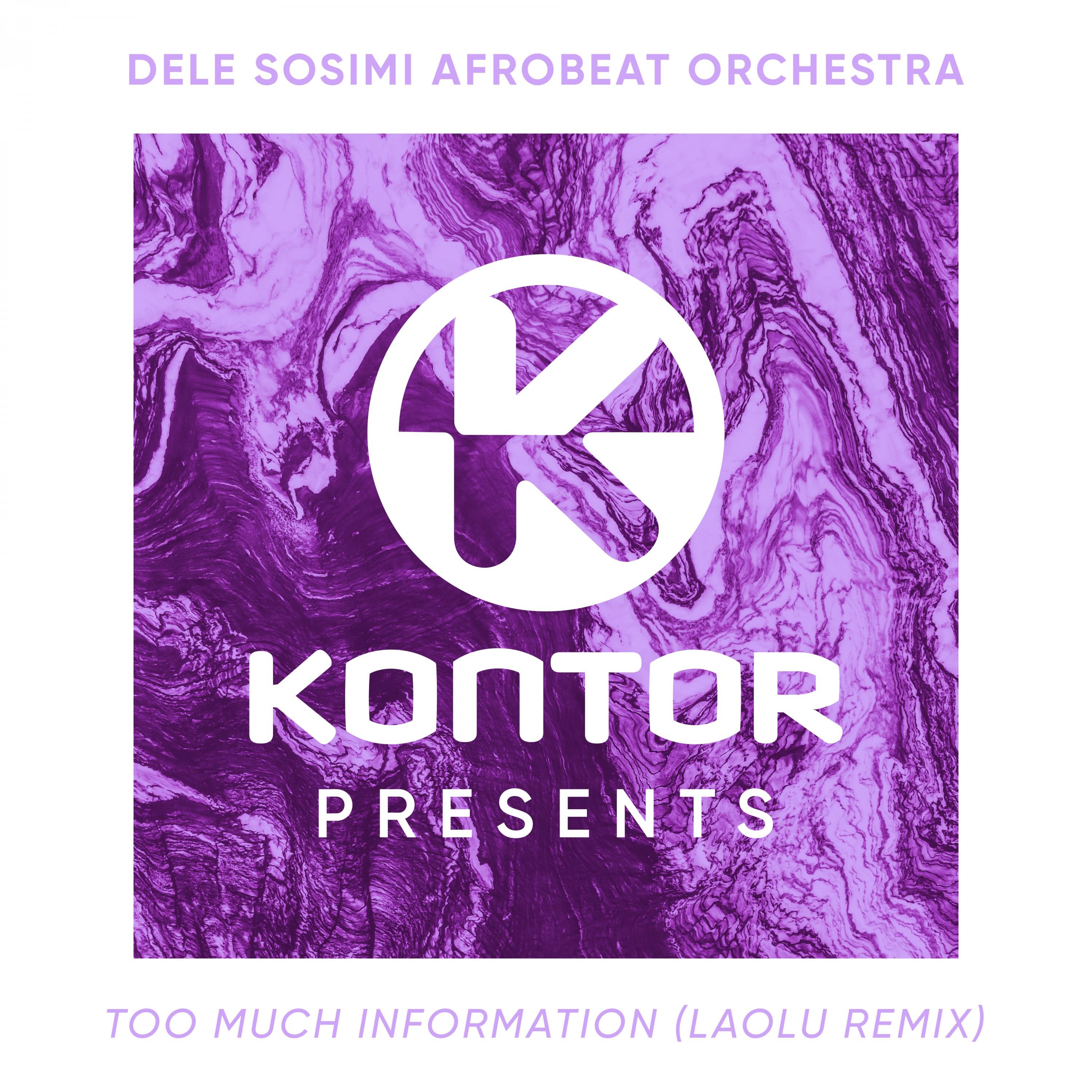 Too Much Information (Laolu Remix Edit)