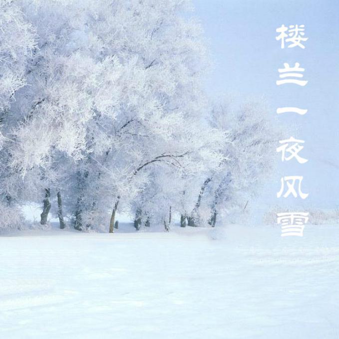 楼兰一夜风雪专辑