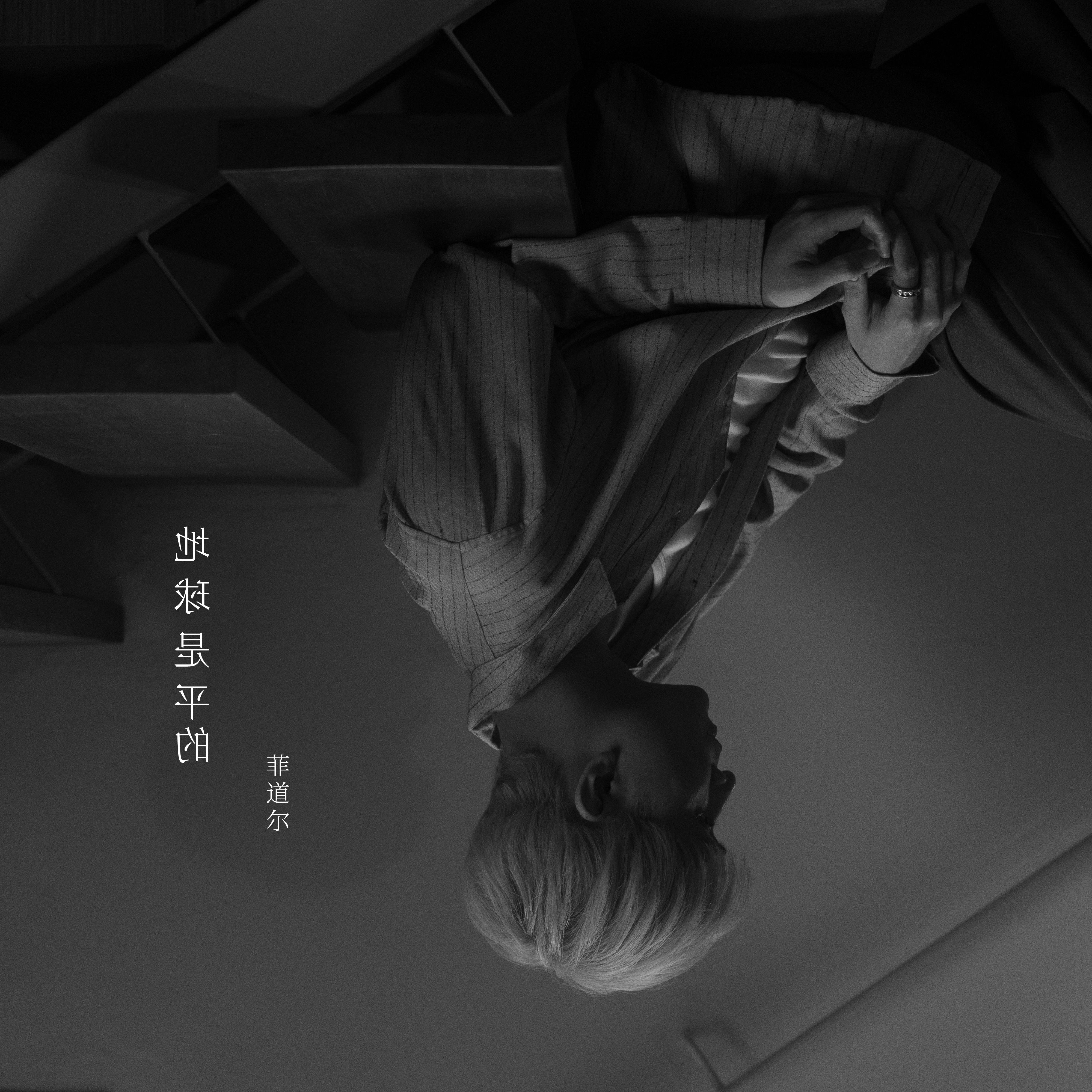 地球是平的