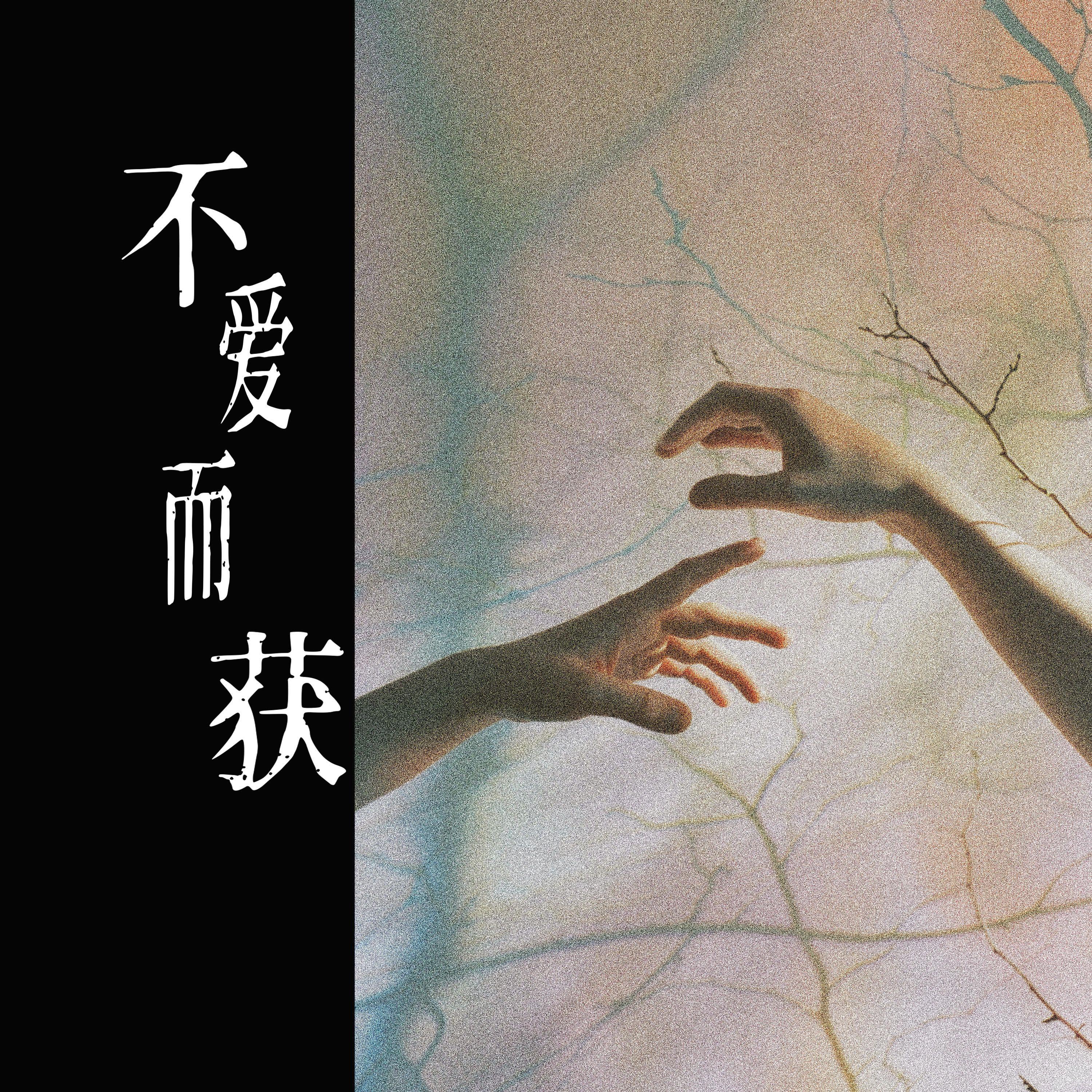 不爱而获
