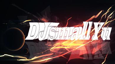 DjsmallYu