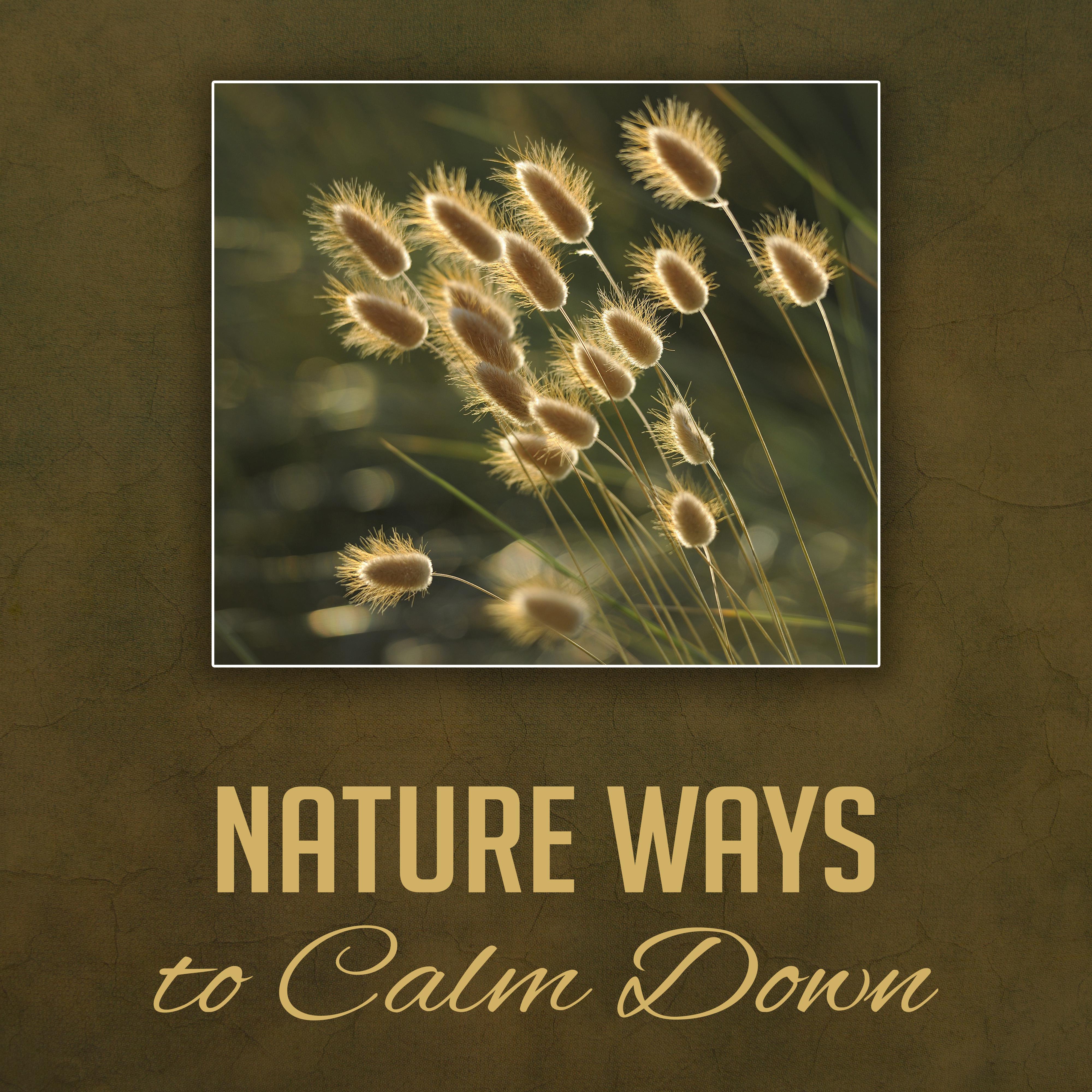 Nature Ways to Calm Down – Soft New Age Music, Peaceful Sounds, Stress Free, Beautiful Memories专辑