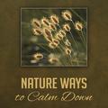 Nature Ways to Calm Down – Soft New Age Music, Peaceful Sounds, Stress Free, Beautiful Memories