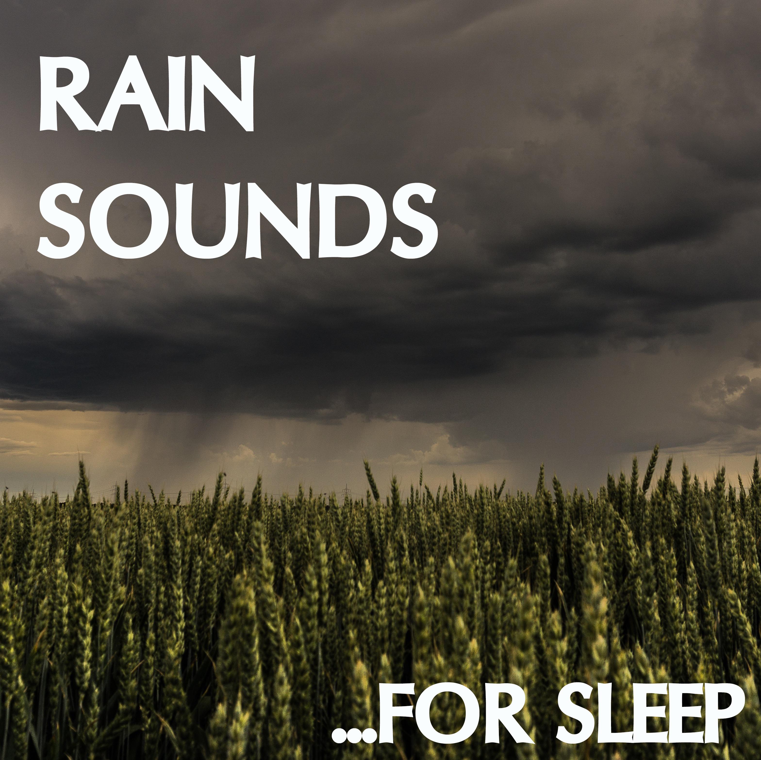 19 Rain Sounds: Sleep Better with Rain Sounds (Loopable)专辑