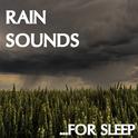 19 Rain Sounds: Sleep Better with Rain Sounds (Loopable)专辑