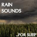 19 Rain Sounds: Sleep Better with Rain Sounds (Loopable)专辑