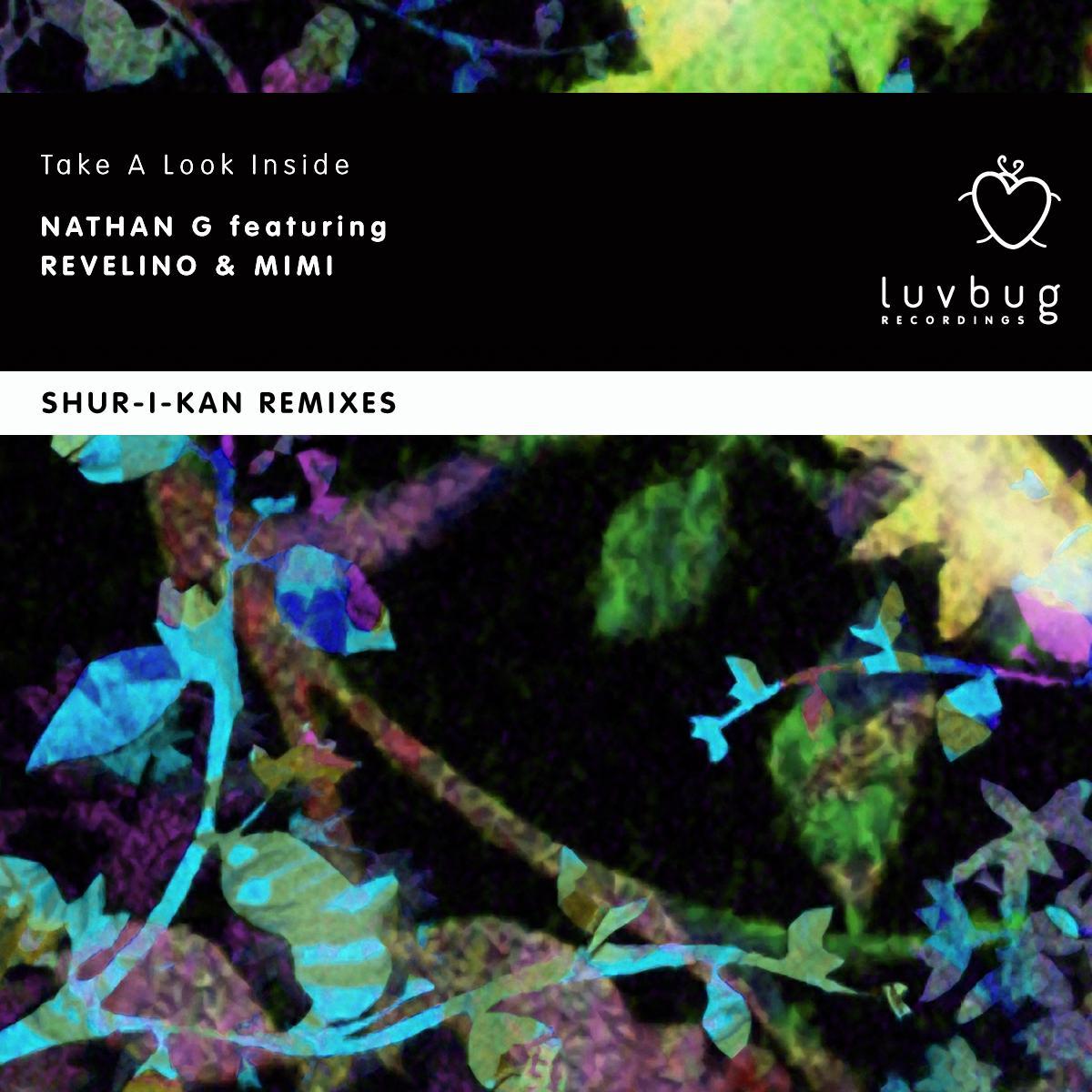 Take a Look Inside Part 2 (Shur-I-kan Remixes)