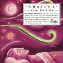 Ambient Music for Sleep专辑