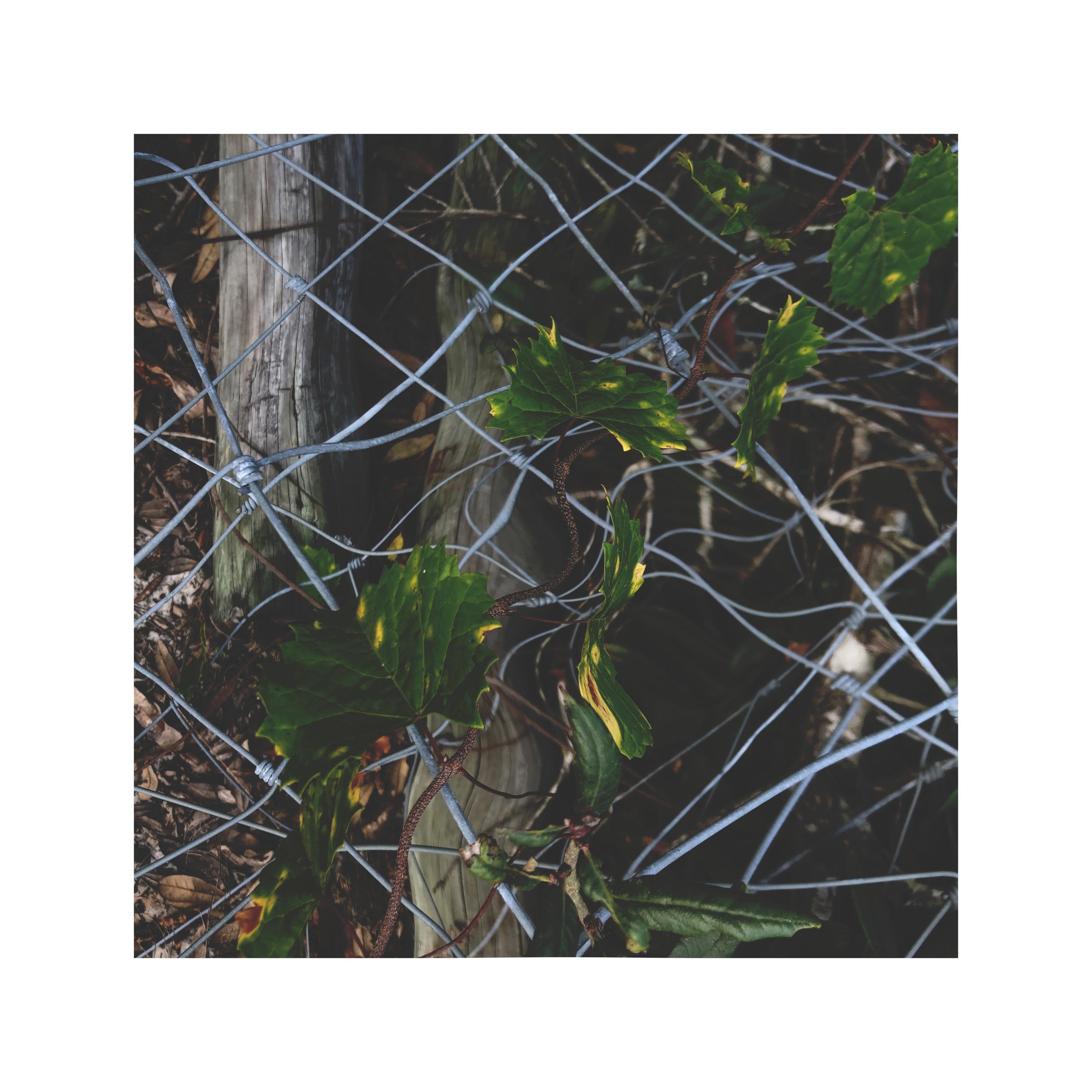Disappear Completely