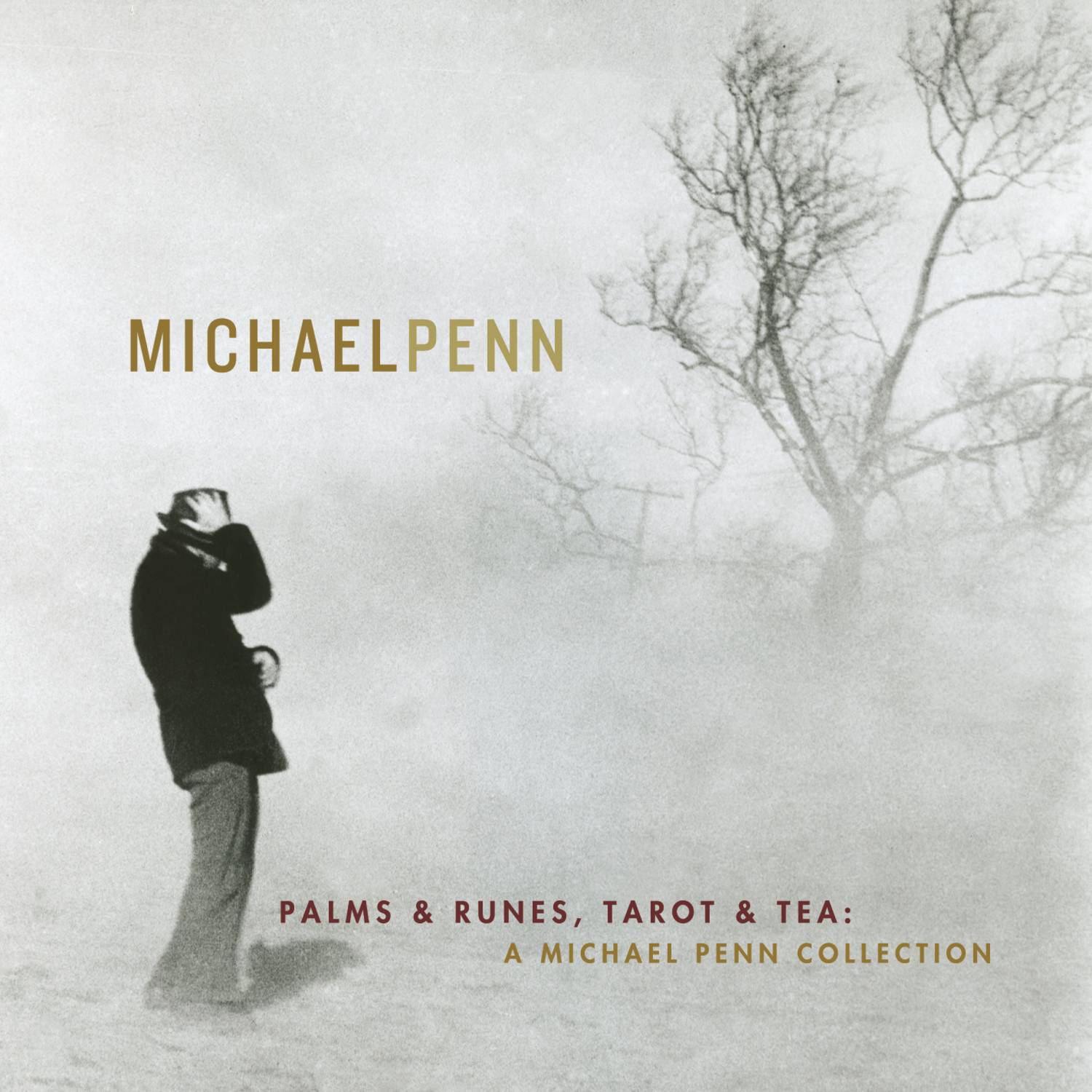 Palms & Runes, Tarot & Tea: A Michael Penn Collection专辑