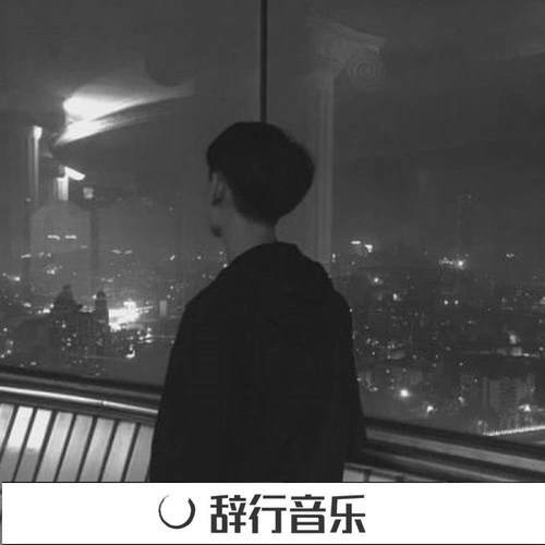 越南鼓电音(DJ版)