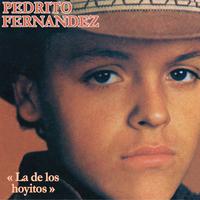 原版伴奏   Pedrito Fernandez - La De Los Hoyitos (karaoke)