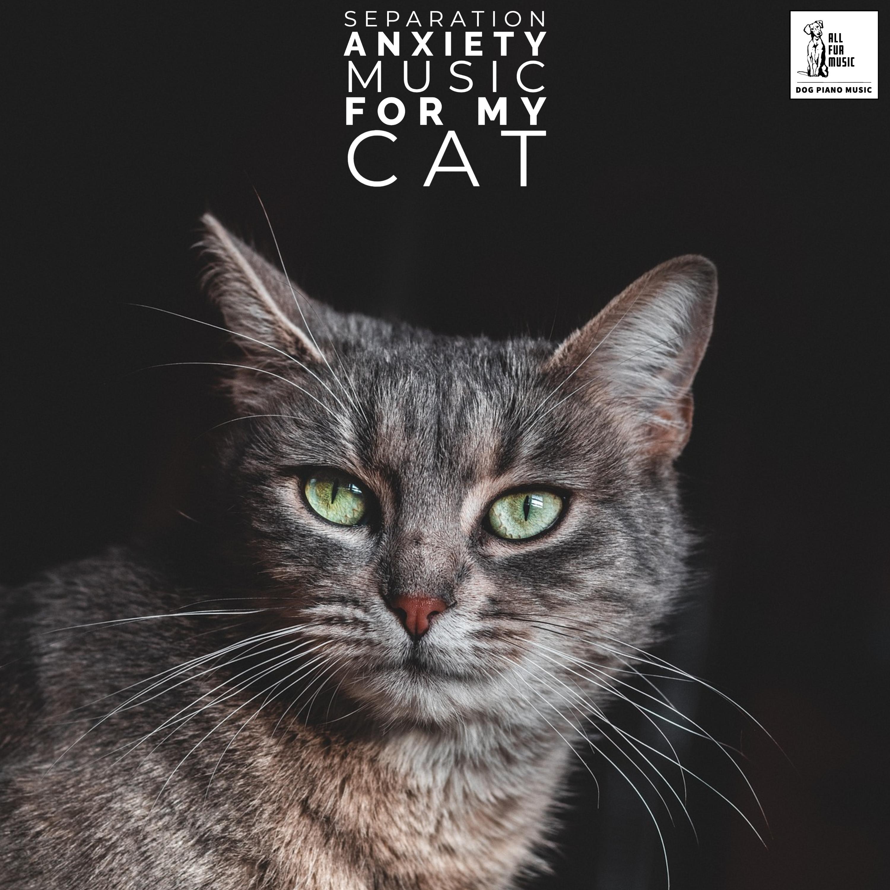 Separation Anxiety Music For My Cat