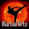 Martial Arts: Sound Effects专辑