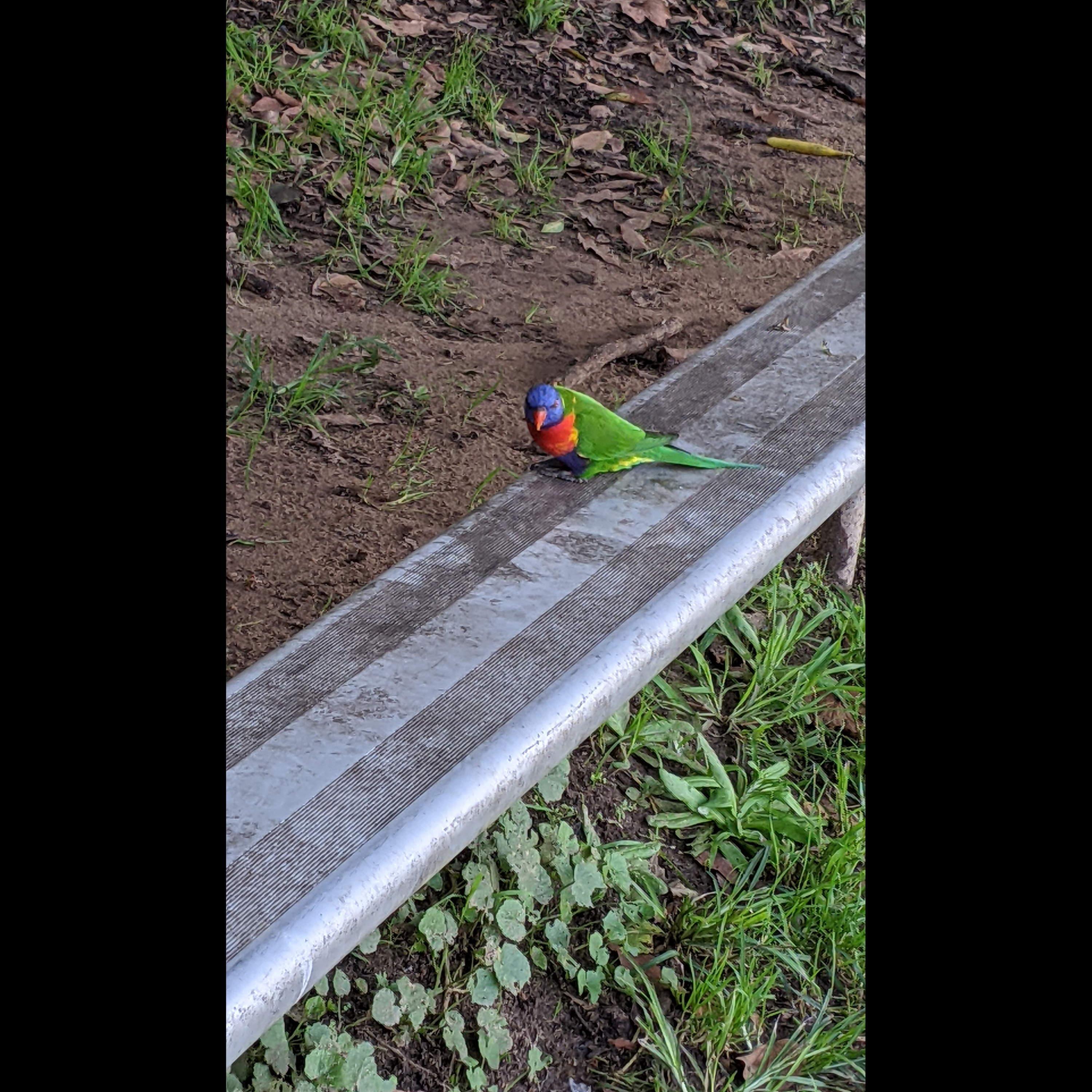 none of it matters if we're all gonna fall