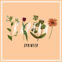 Sprinter EP专辑
