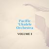 Pacific Ukulele Orchestra - Ave Maria (feat. Tavita Te'o & Mana'olana)