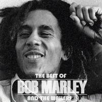 原版伴奏   Iron Lion Zion- Bob Marley ( reggae Backing Track 44khz 320kbps Stereo )