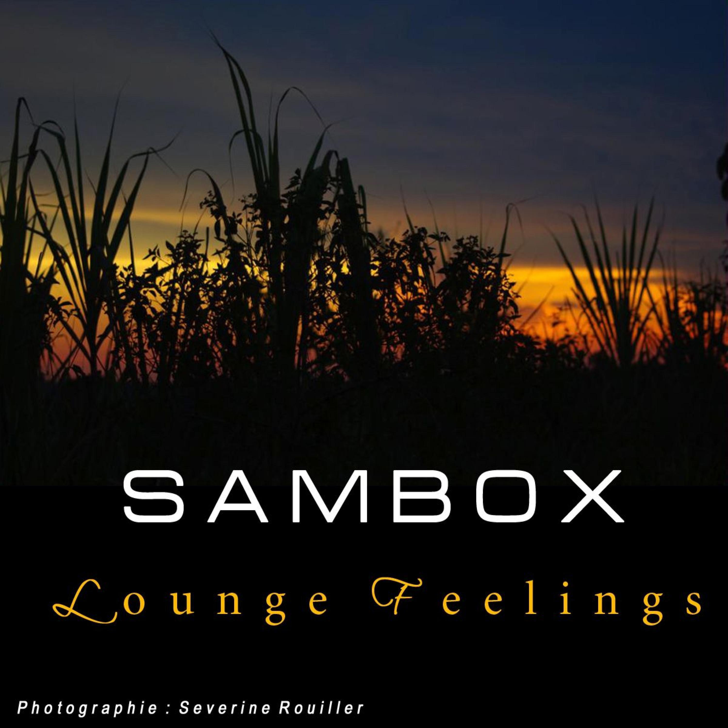 Sambox - Just a Night