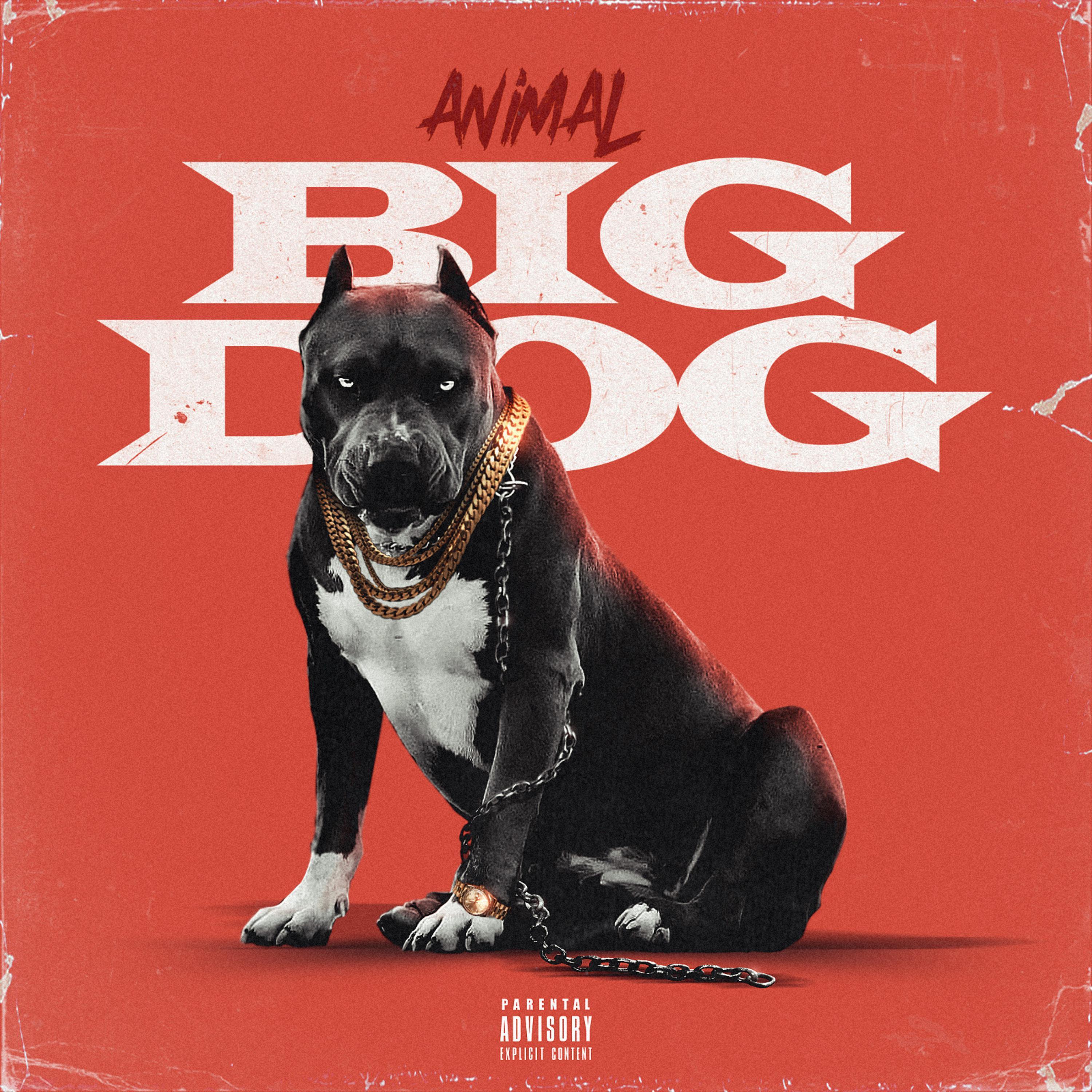 Big Dog