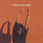 Tik Tock Hits 2022专辑